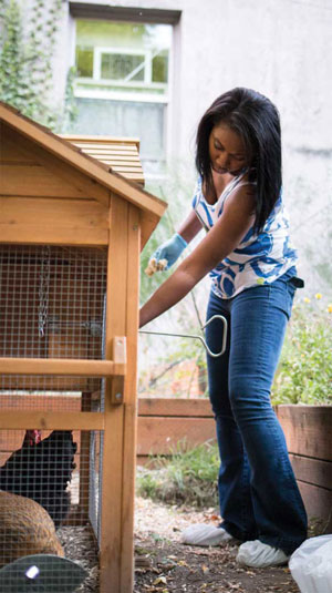 person opening a chicken coop